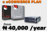 web hosting
