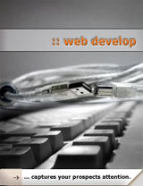 web develop